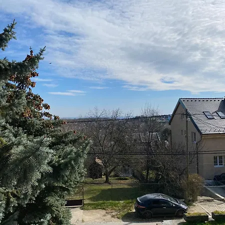 Villa Luxury 3 Bedroom In A Forest 10min Drive From Center Budapest