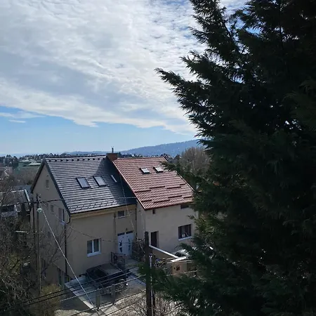 Villa Luxury 3 Bedroom In A Forest 10min Drive From Center Budapest
