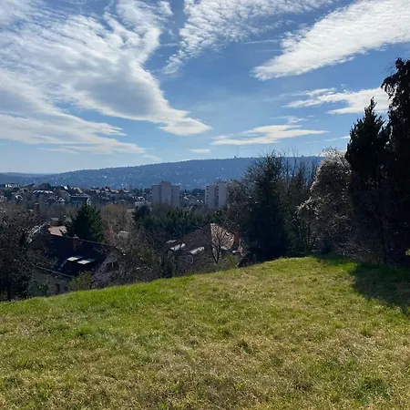 Luxury 3 Bedroom In A Forest 10min Drive From Center Budapest