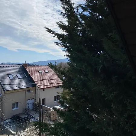 Luxury 3 Bedroom In A Forest 10min Drive From Center Villa *