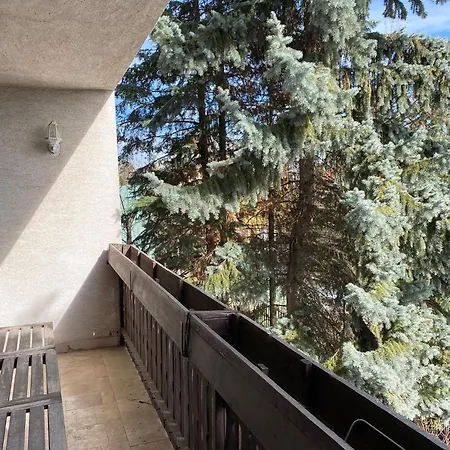 Luxury 3 Bedroom In A Forest 10min Drive From Center Villa