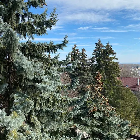Luxury 3 Bedroom In A Forest 10min Drive From Center Villa Budapest