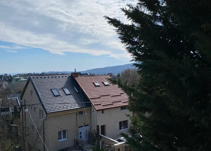 Вилла Luxury 3 Bedroom In A Forest 10min Drive From Center Будапешт