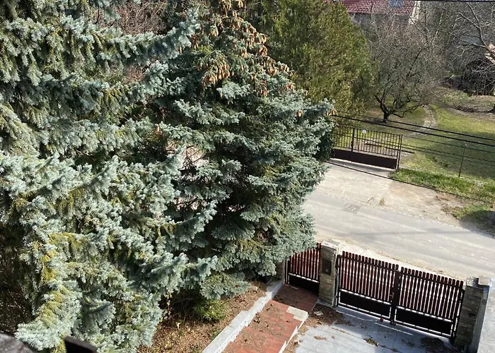 Вилла Luxury 3 Bedroom In A Forest 10min Drive From Center Будапешт
