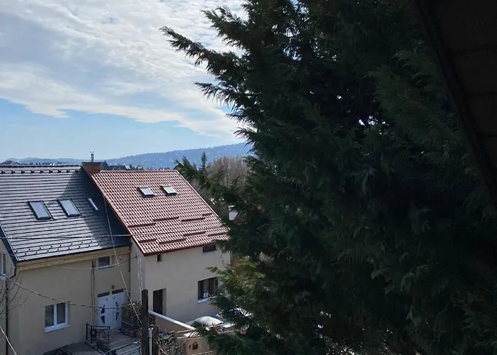 Luxury 3 Bedroom In A Forest 10min Drive From Center Вилла *