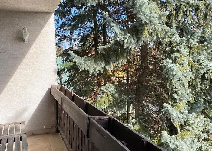 Luxury 3 Bedroom In A Forest 10min Drive From Center Вилла