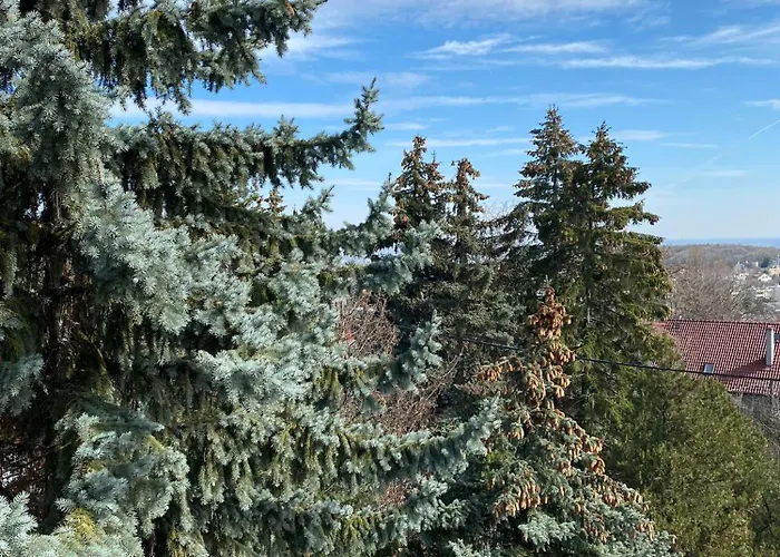 Luxury 3 Bedroom In A Forest 10min Drive From Center Вилла Будапешт