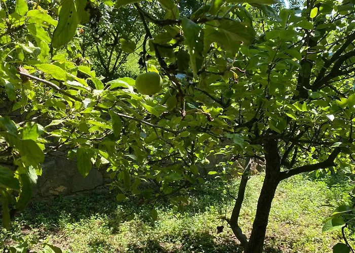 Luxury 3 Bedroom In A Forest 10min Drive From Center Вилла Будапешт