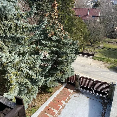 Villa Luxury 3 Bedroom In A Forest 10min Drive From Center Budapest